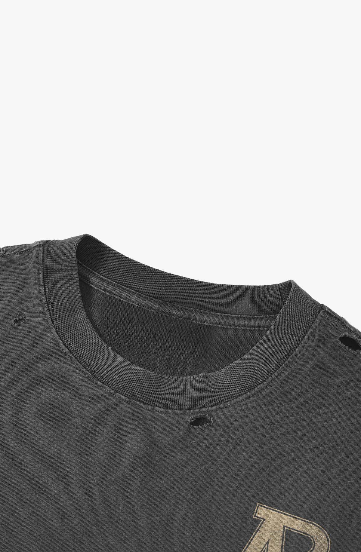 Distressed Vintage Boxy T-Shirt